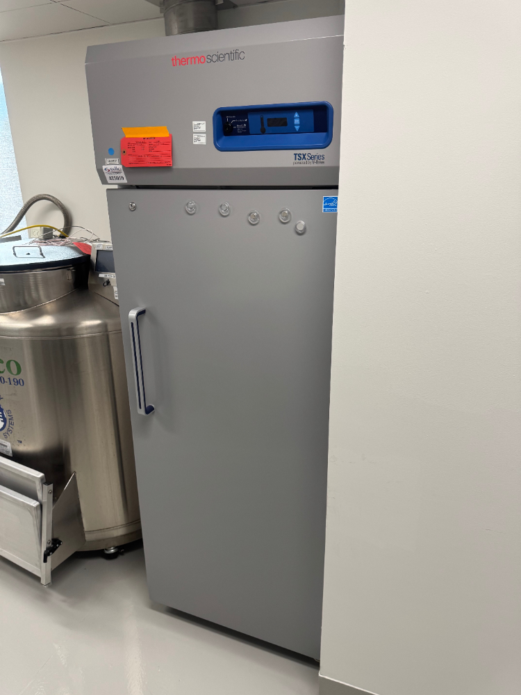 Image of Thermo TSX Series Refrigerator